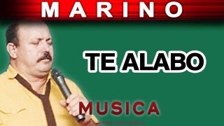 Marino  Te Alabo musica [upl. by Eseer393]