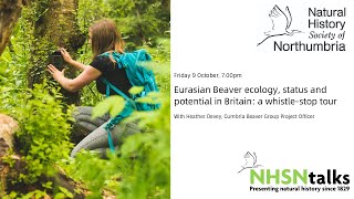 Beaver ecology status and potential in Britain a whistlestop tour [upl. by Erick]