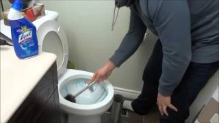 How To Clean A Toilet Tutorial For Cleaning A Bathroom [upl. by Niriam]