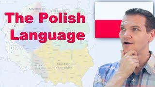 PolishSoviet War  First Phase 1919  May 1920 Documentary [upl. by Goldshell]