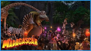 DreamWorks Madagascar  Meet King Julien  Madagascar Movie Clip [upl. by Nivrac564]