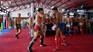 Muay Thai Stars Sparring at YOKKAO  Enjoy the Madness [upl. by Lraed]