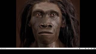 From Lucy to Homo erectus [upl. by Aohk]