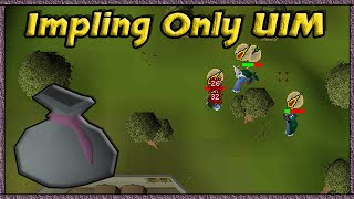 I Never Thought This Item Was Possible  Impling Only UIM 14 [upl. by Aynna]