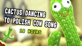 Cactus Dancing To Polish Cow Song 10 Hours [upl. by Aleen]