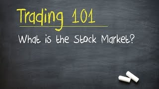 Trading 101 What is the Stock Market [upl. by Atsylac261]