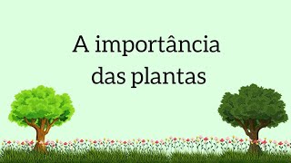 A importância das plantas [upl. by Ayatal]