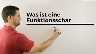 Was ist eine Funktionsschar Teil 1 Parameterfunktion Kurvenschar  Mathe by Daniel Jung [upl. by Dot]