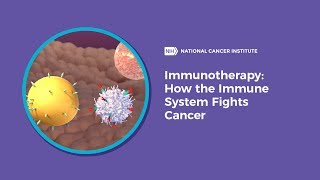 Immunotherapy How the Immune System Fights Cancer [upl. by Wyne]