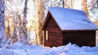 Off Grid Cabin in the Alaskan Wilderness [upl. by Turpin]