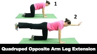 Simple Arm Strengthening Exercises for Seniors [upl. by Dorothi]