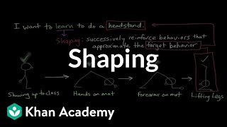 Operant conditioning Shaping  Behavior  MCAT  Khan Academy [upl. by Kim191]