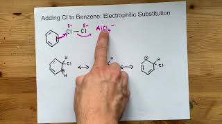 Adding Cl to Benzene Electrophilic Substitution [upl. by Murdock733]