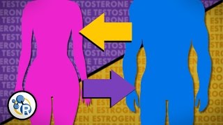 Hormones and Gender Transition [upl. by Hsaniva]