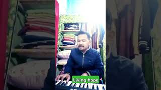 Living hope cover song [upl. by Ytnom]