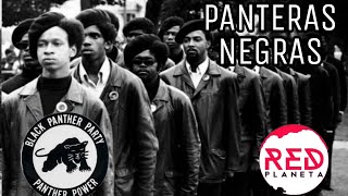 Panteras Negras The Black Panthers Party [upl. by Gustafson]