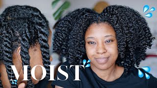 Moisturise DRY Natural Hair In 4 Easy Steps 🔢 Detailed wProduct Recommendations [upl. by Ocirne312]