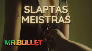 MrBullet  SLAPTAS MEISTRAS [upl. by Gayn]