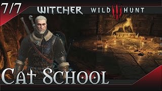 The Witcher 3 Wild Hunt Cat School Gear Set [upl. by Lebatsirhc656]