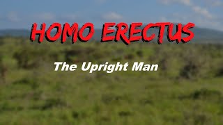 Homo Erectus Culture [upl. by Enneles]