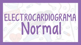 ELECTROCARDIOGRAMA Normal  Valores Normales  ¡Fácil explicación [upl. by Eckel772]