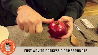 Fast Way to Process a Pomegranate [upl. by Otreblide]