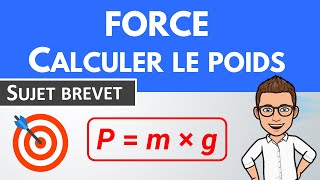 Force calcul et poids 🎯 Sujet Brevet  Physique Chimie [upl. by Jaye]