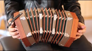 Is This the Worlds Worst Instrument Hohner Concertina Review [upl. by Cowles]