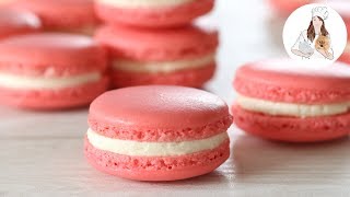 How to make Macarons  Perfect Macaron Recipe [upl. by Charleen]