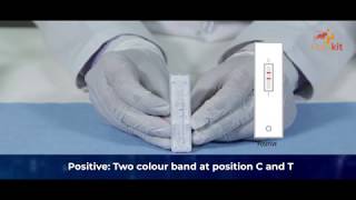 Rapikit Syphilis VDRL Rapid Test Instructional Video [upl. by Yekcaj511]