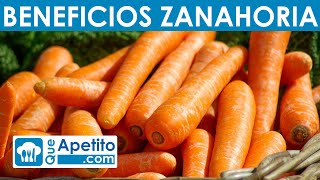 8 Propiedades y Beneficios de la Zanahoria  QueApetito [upl. by Tatiania]