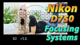 Nikon D750 Tutorial Training  Focusing Systems  How to [upl. by Kawasaki]