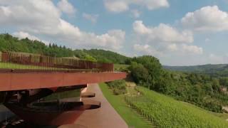 Antinori nel Chianti Classico Winery [upl. by Spoor]