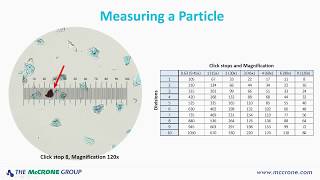 How to Calibrate Your Microscope [upl. by Middleton]