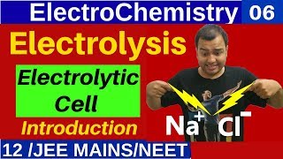 ElectroChemistry 06  Electrolysis OR ElectroChemical Cell  Introduction  Product at Electrode [upl. by Placeeda659]