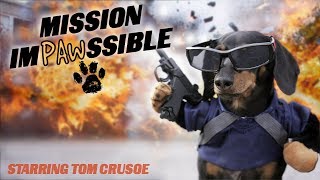 MISSION IMPAWSSIBLE  Funny Wiener Dog Action Movie [upl. by Ziagos]