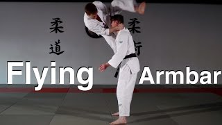 Flying Armbar [upl. by Strohl]