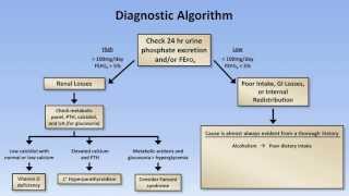 Hypophosphatemia [upl. by Ameh]