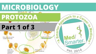 Protozoa  Microbiology  USMLE STEP 1  Part 1 of 3 [upl. by Ahsela773]