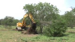 Video of larger Mesquite Grubbing [upl. by Benton127]