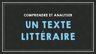 COMPRENDRE ET ANALYSER UN TEXTE [upl. by Adnolaj]