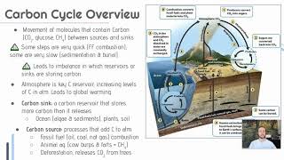 APES Video Notes 11  Ecosystems [upl. by Attenyw]