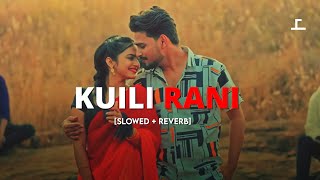 KUILI RANI  slowed  Reverb Sambalpuri song [upl. by Julieta]