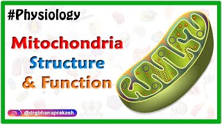 Gastroenterology and Mitochondrial Disease [upl. by Claiborne]