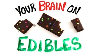 Your Brain On Edible Marijuana [upl. by Wilkins]