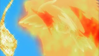 Pokemon Talonflame vs Unfezant [upl. by Adriane]