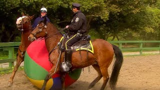 Police Horse Training  Extraordinary Animals  BBC Earth [upl. by Eicyaj]