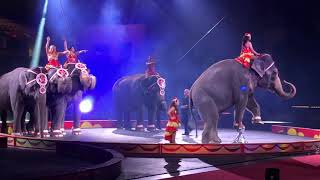 The Shrine Circus  Fort Worth Convention Center  Elephant Act [upl. by Atonsah]