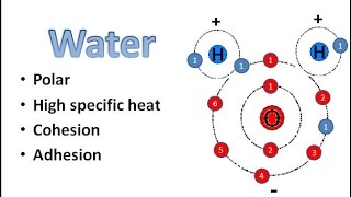 Water Chemistry [upl. by Cohlette847]