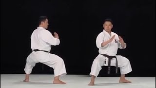 Seiyunchin Kata Instructional [upl. by Auqinimod]